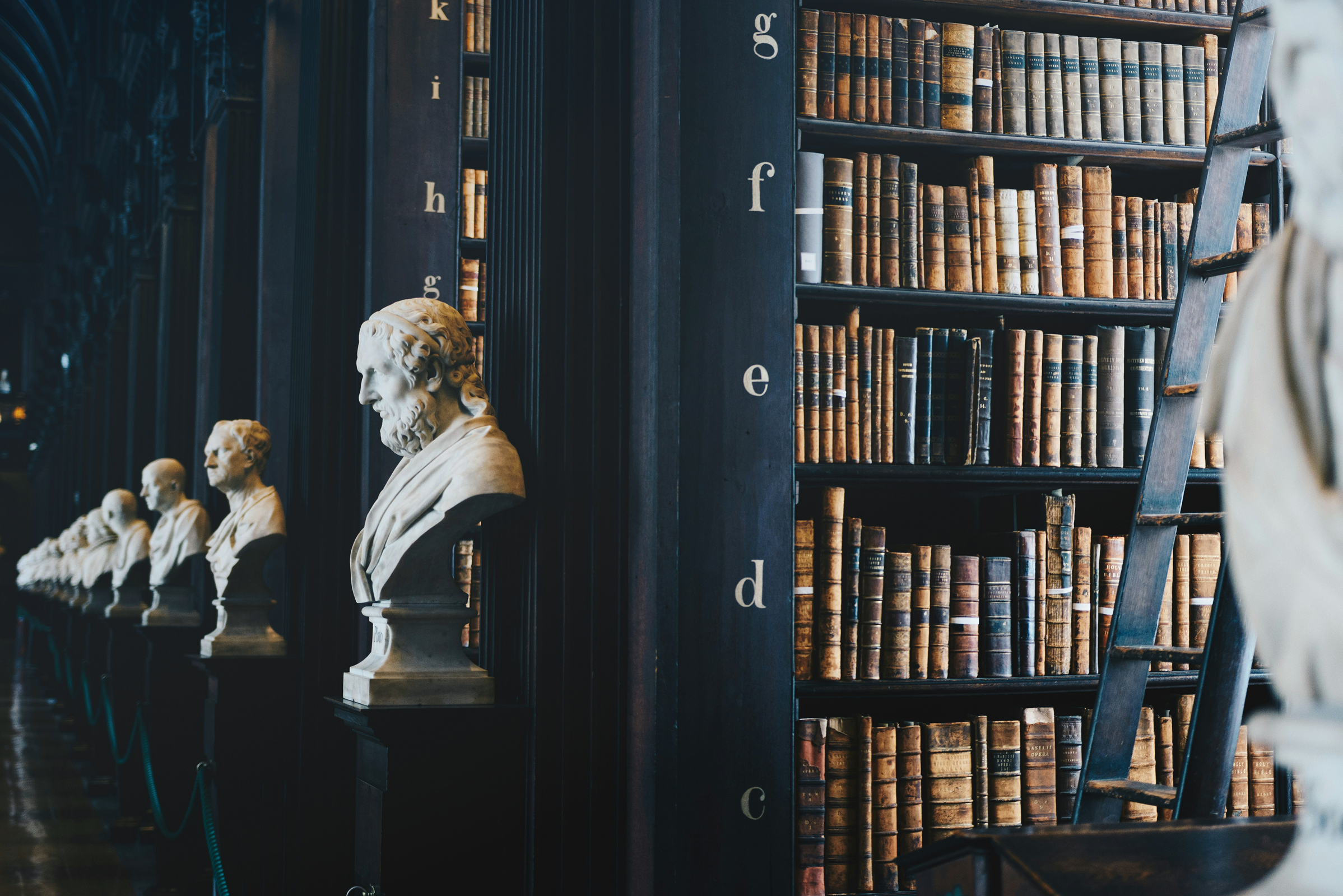 Une bibliothèque contenant plusieurs livres de droit